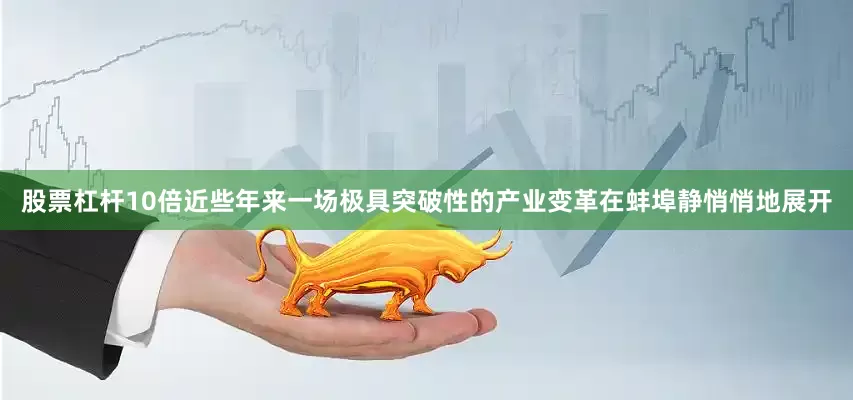 股票杠杆10倍近些年来一场极具突破性的产业变革在蚌埠静悄悄地展开