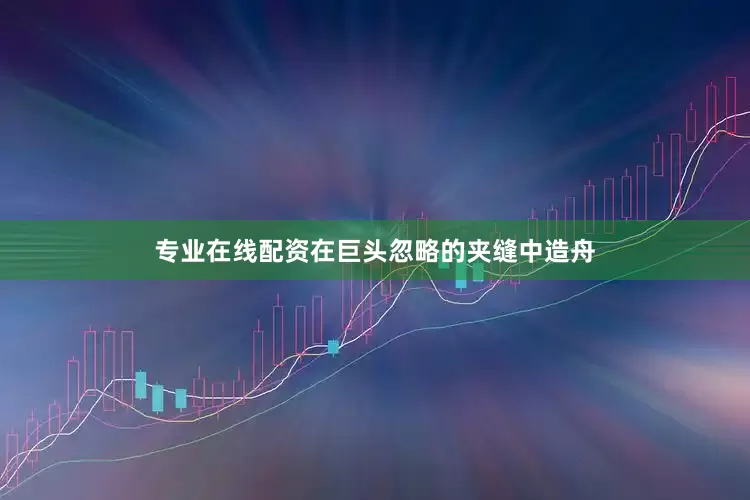 专业在线配资在巨头忽略的夹缝中造舟