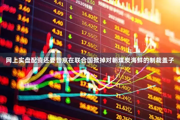 网上实盘配资还要普京在联合国掀掉对朝煤炭海鲜的制裁盖子