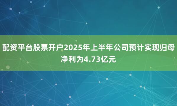 配资平台股票开户2025年上半年公司预计实现归母净利为4.73亿元